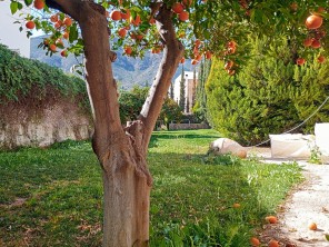 Jardín